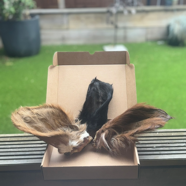 Hairy cow ears