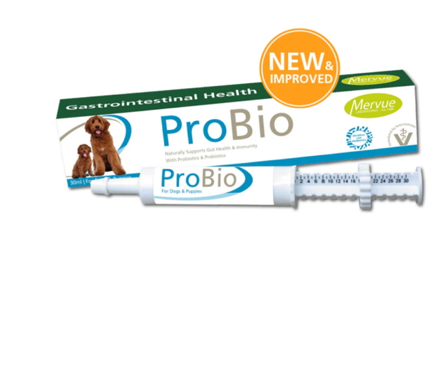 Probiotic Paste
