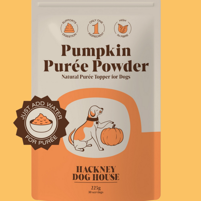 Pumpkin Purée Powder
