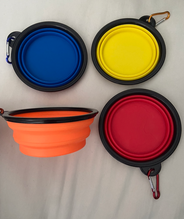 Collapsible water bowl